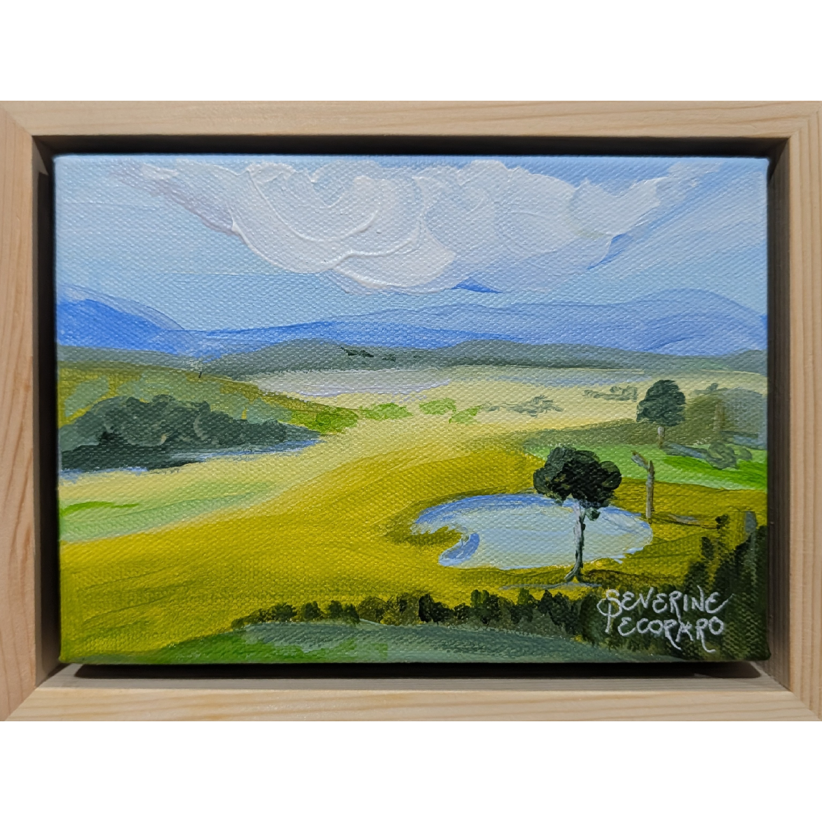 Open Country