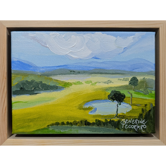 Open Country