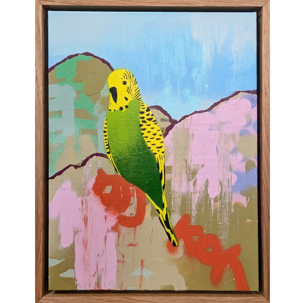 Small Green and Gold Budgie no.2