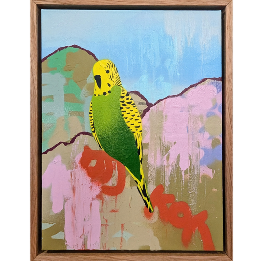 Small Green and Gold Budgie no.2