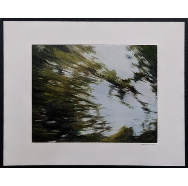 Trees in motion #3