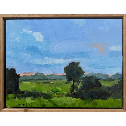 New Zealand Landscape
