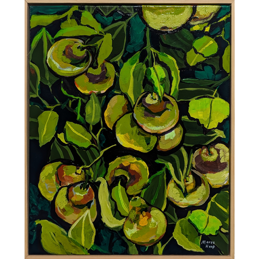 Nashi pears