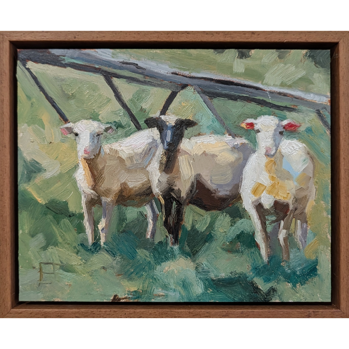 Flock