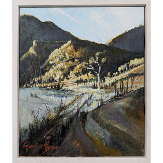 Wattle time at Christmas creek