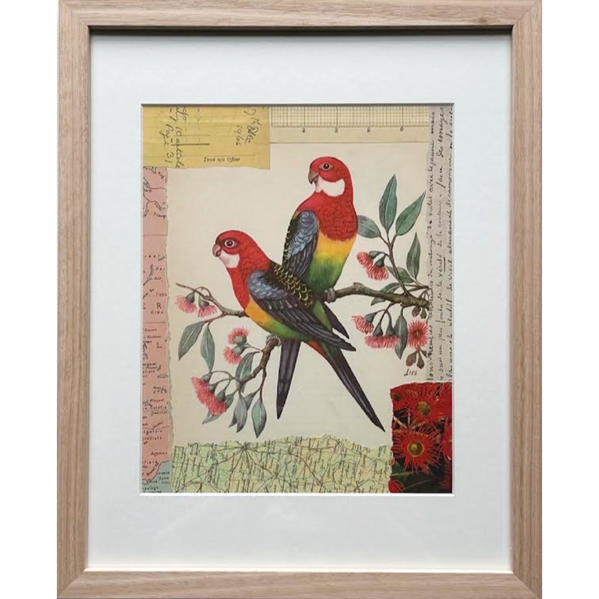 Eastern Rosellas
