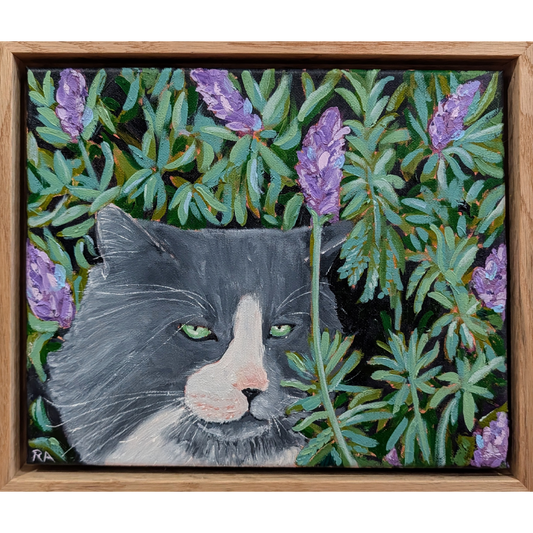 Cat Amongst Lavender