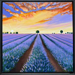Lavender sunset