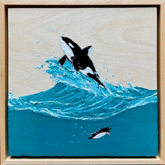 Catch me if you can 1