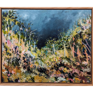 Dark Sky in High Country