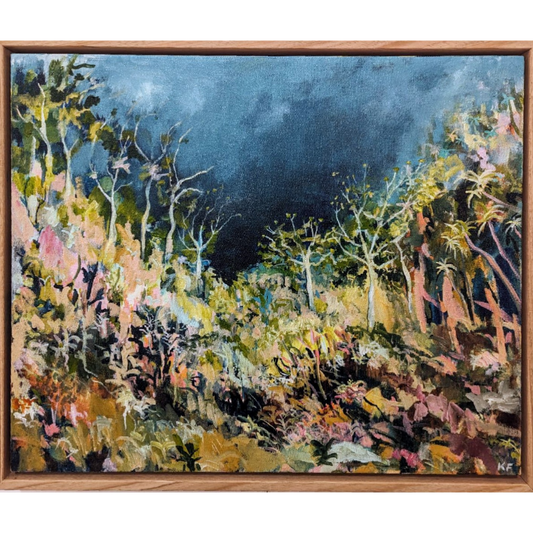 Dark Sky in High Country