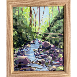 Hidden Pool at Topaz Homestead