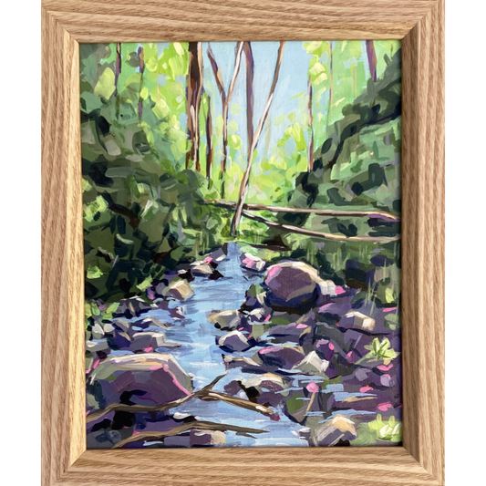 Hidden Pool at Topaz Homestead