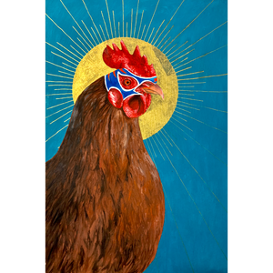 No One Dared to call Bruce a Cock