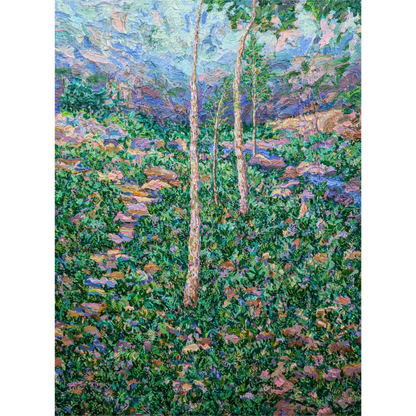 A Hidden Refuge (Blue Mountains)