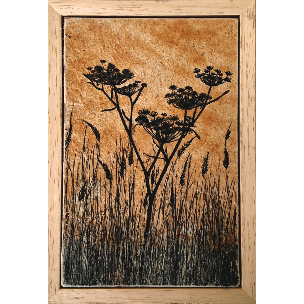 Rust in Weeds