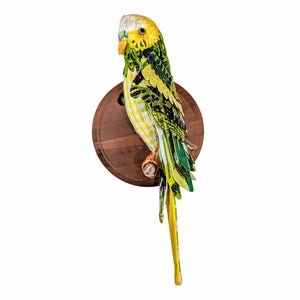 Yellow-Green Budgie